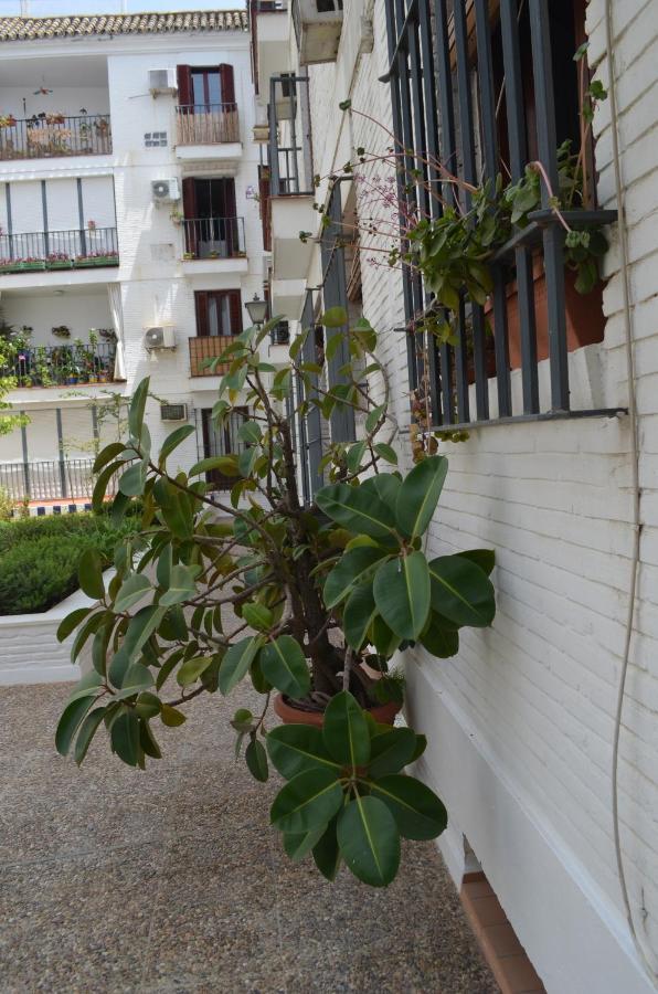 La Casa De Jose Manuel Apartment Seville Exterior photo